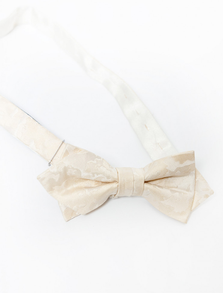 Мужская бабочка Pierre Cardin 05590/000/07006/9012 2 290 руб. 2 290 руб.