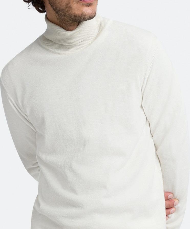 Мужская водолазка PIERRE CARDIN C5 50303.5018/1024 8 490 руб.  8 490 руб. 