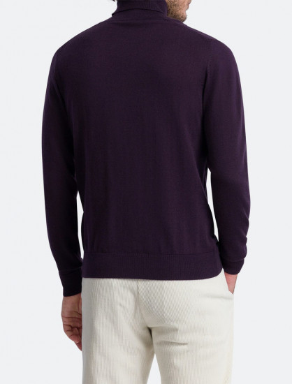 Мужская водолазка PIERRE CARDIN C5 50313.5019/4302