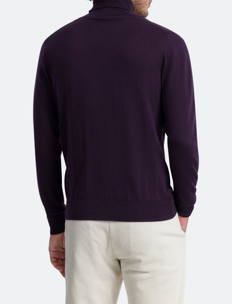 Мужская водолазка PIERRE CARDIN C5 50313.5019/4302 7 990 руб. 7 990 руб.