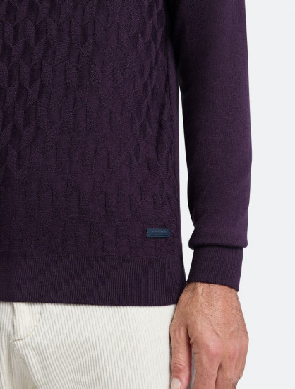 Мужская водолазка PIERRE CARDIN C5 50313.5019/4302