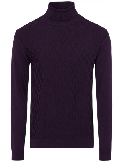 Мужская водолазка PIERRE CARDIN C5 50313.5019/4302