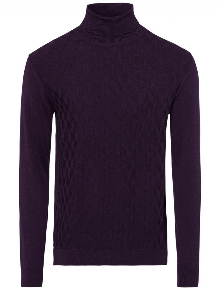 Мужская водолазка PIERRE CARDIN C5 50313.5019/4302 7 990 руб. 7 990 руб.