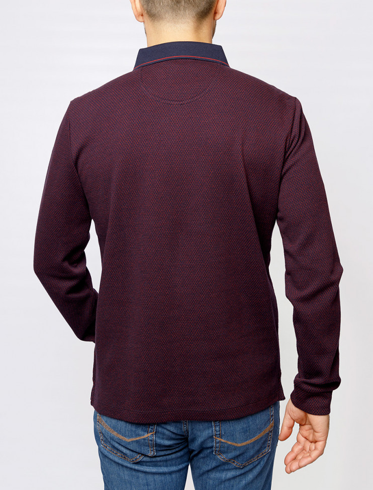 Мужское поло длинный рукав PIERRE CARDIN C5 30324.3027/4221 8 993 руб. 8 993 руб.