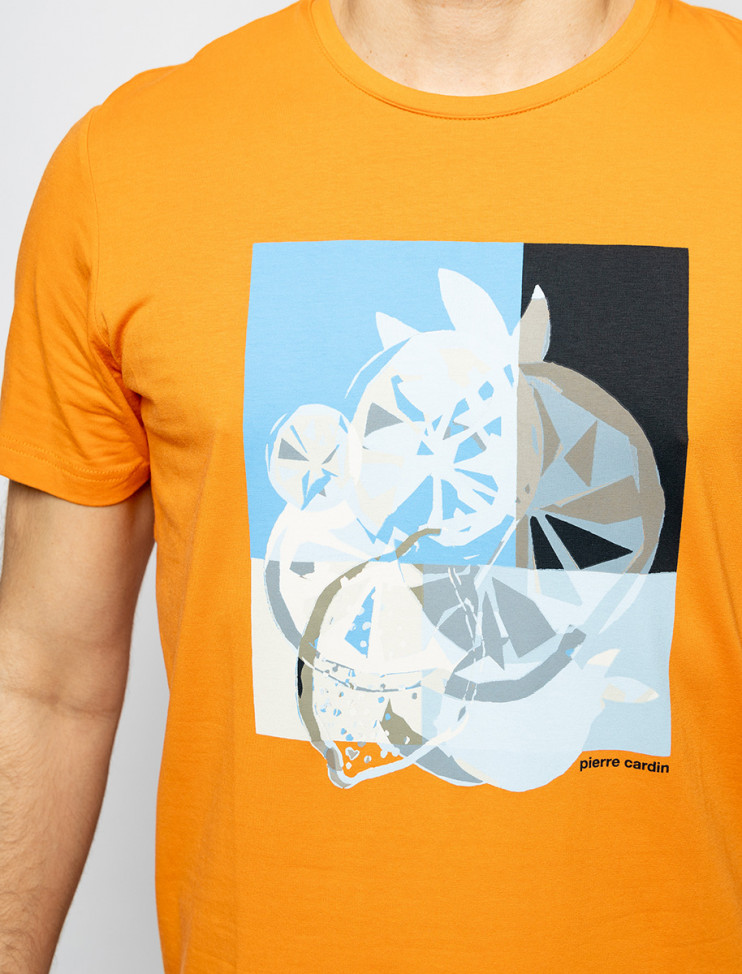 Мужская футболка короткий рукав PIERRE CARDIN C5 21070.2103/3112 5 290 руб. 5 290 руб.