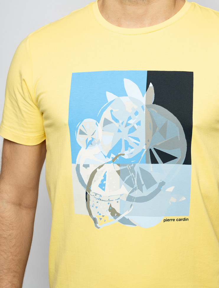 Мужская футболка короткий рукав PIERRE CARDIN C5 21070.2103/2109 5 290 руб. 5 290 руб.