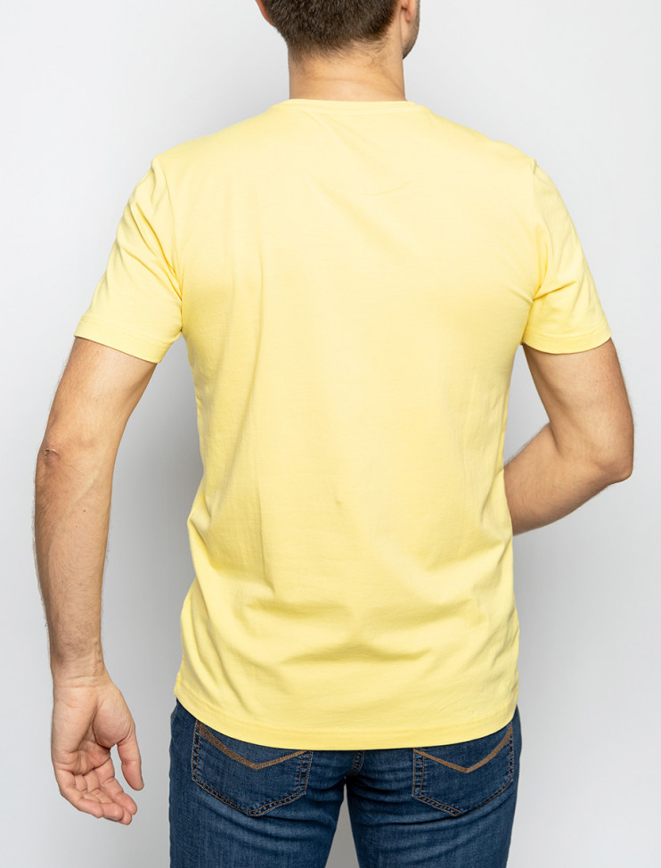 Мужская футболка короткий рукав PIERRE CARDIN C5 21070.2103/2109 5 290 руб. 5 290 руб.