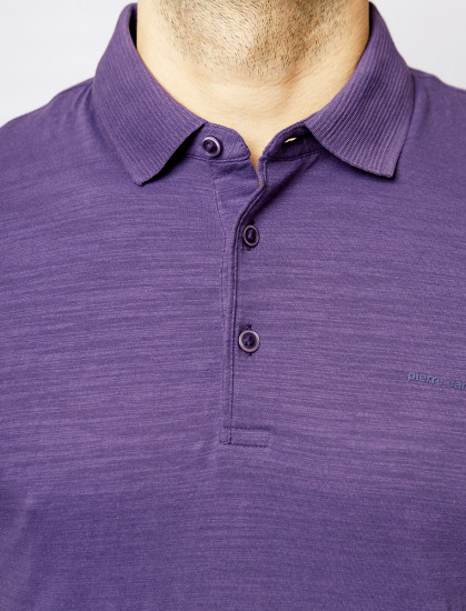 Мужское поло короткий рукав PIERRE CARDIN C5 20614.2043/7302