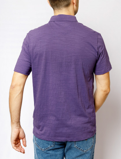 Мужское поло короткий рукав PIERRE CARDIN C5 20614.2043/7302