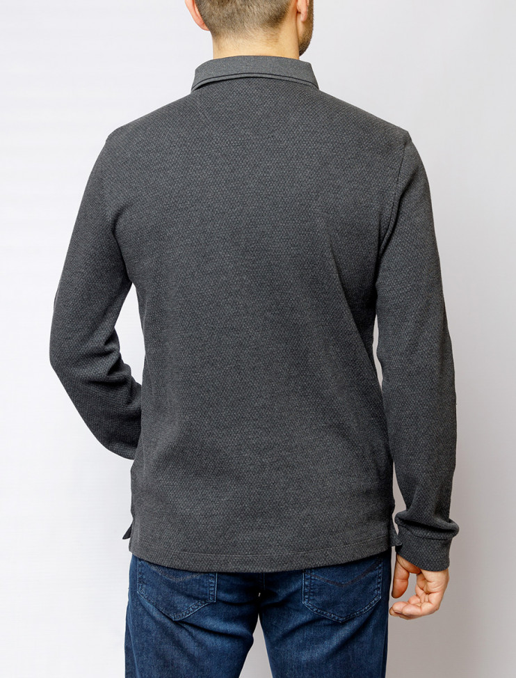 Мужское поло длинный рукав PIERRE CARDIN C5 30324.3027/9314 8 993 руб. 8 993 руб.