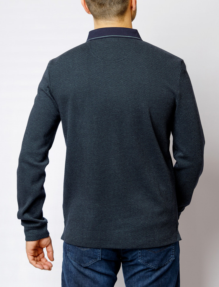 Мужское поло длинный рукав PIERRE CARDIN C5 30324.3027/5222 7 990 руб. 7 990 руб.