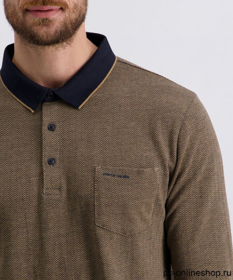 Мужское поло длинный рукав  Pierre Cardin  C5 30794.3074/8018