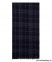 Мужской шарф Pierre Cardin C5 10022.1012/6323