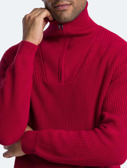 Мужской свитер PIERRE CARDIN C5 50162.5011/4218