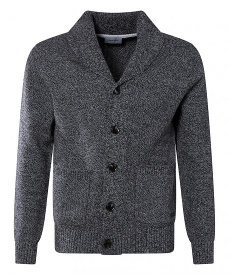 Мужской кардиган PIERRE CARDIN C5 51168.5080/9000