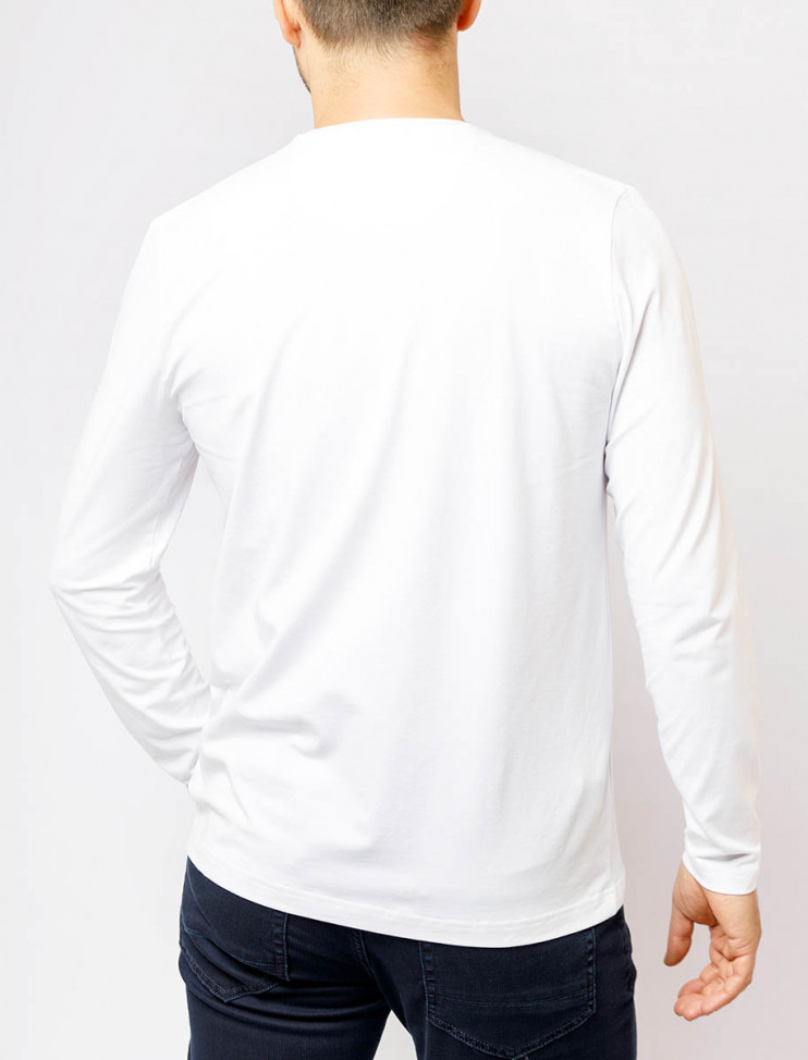 Мужская футболка длинный рукав Pierre Cardin C5 30070.3016/1019 3 290 руб.  3 290 руб. 