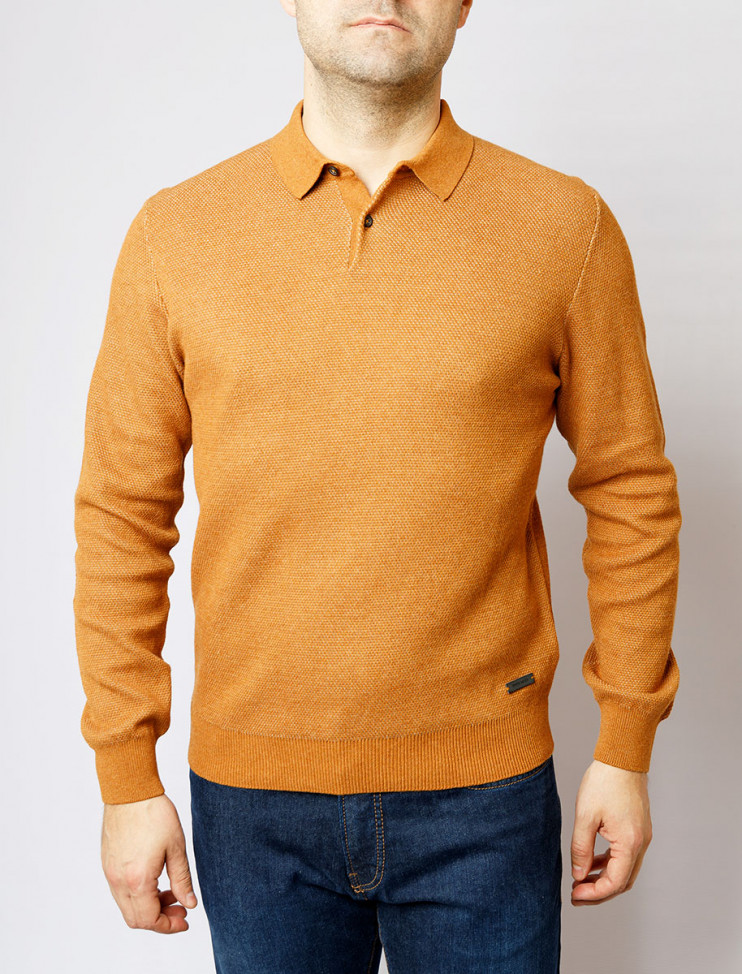 Мужское поло длинный рукав Pierre Cardin C5 50164.5027/8119 7 290 руб. 7 290 руб.