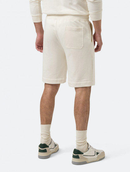 Мужские шорты PIERRE CARDIN C5 40276.4017/1006