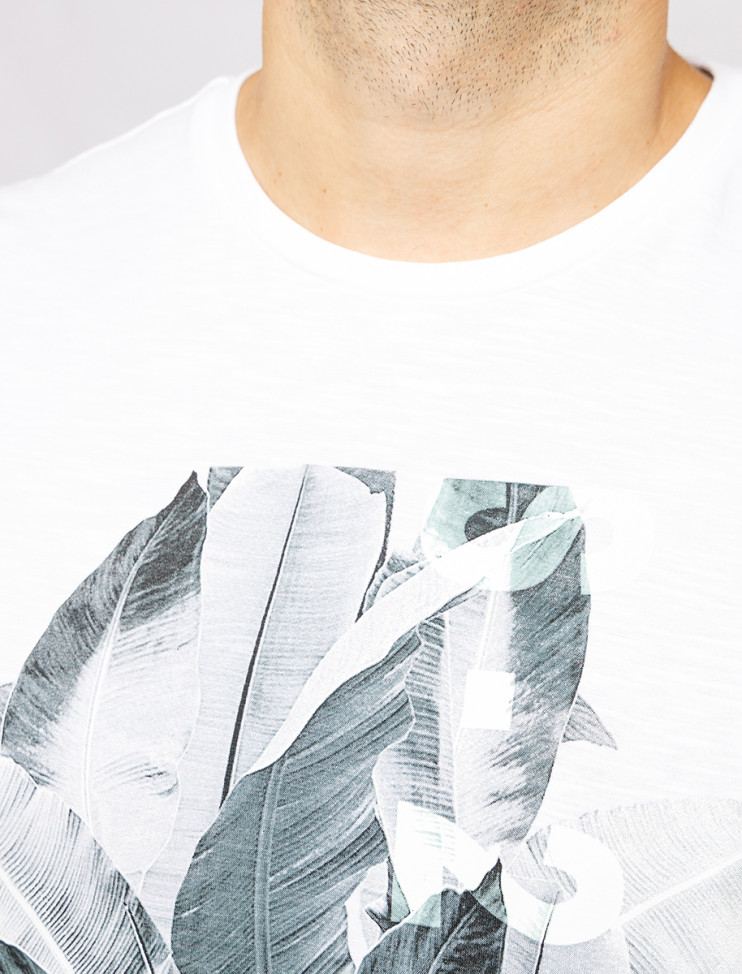 Мужская футболка короткий рукав Pierre Cardin C5 20370.2027/1019 3 290 руб. 3 290 руб.