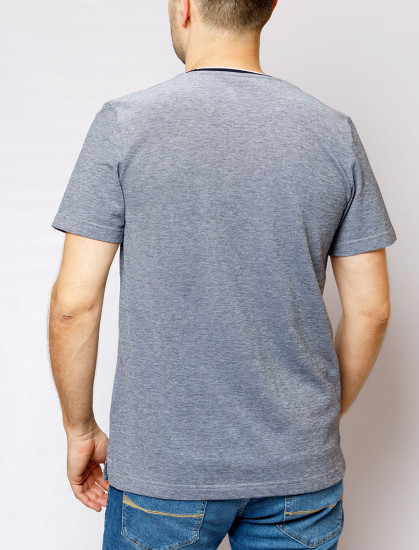 Мужская футболка короткий рукав PIERRE CARDIN C5 20870.2062/6319