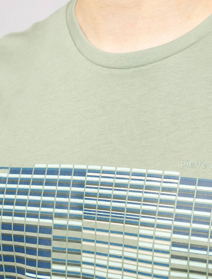 Мужская футболка короткий рукав Pierre Cardin C5 20380.2028/5216 3 290 руб. 3 290 руб.