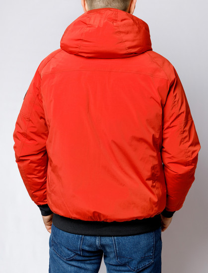 Мужская короткая куртка PIERRE CARDIN C8 10093.0034/4111