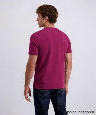 Мужская футболка короткий рукав PIERRE CARDIN C5 21800.2120/7200