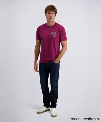 Мужская футболка короткий рукав PIERRE CARDIN C5 21800.2120/7200