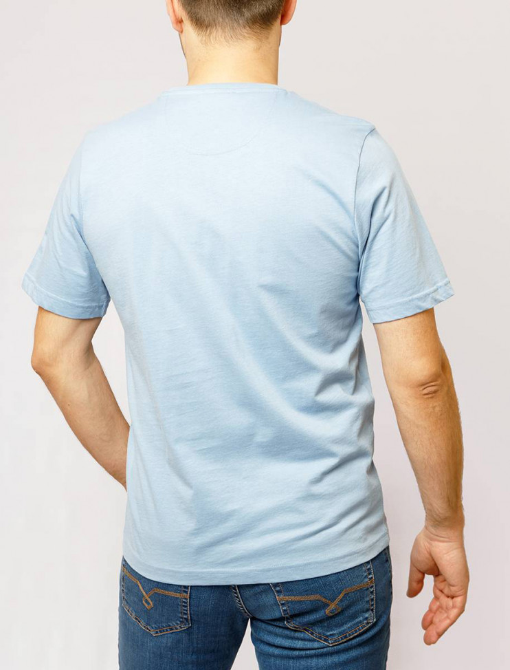 Мужская футболка короткий рукав Pierre Cardin C5 20390.2028/6115 3 290 руб. 3 290 руб.